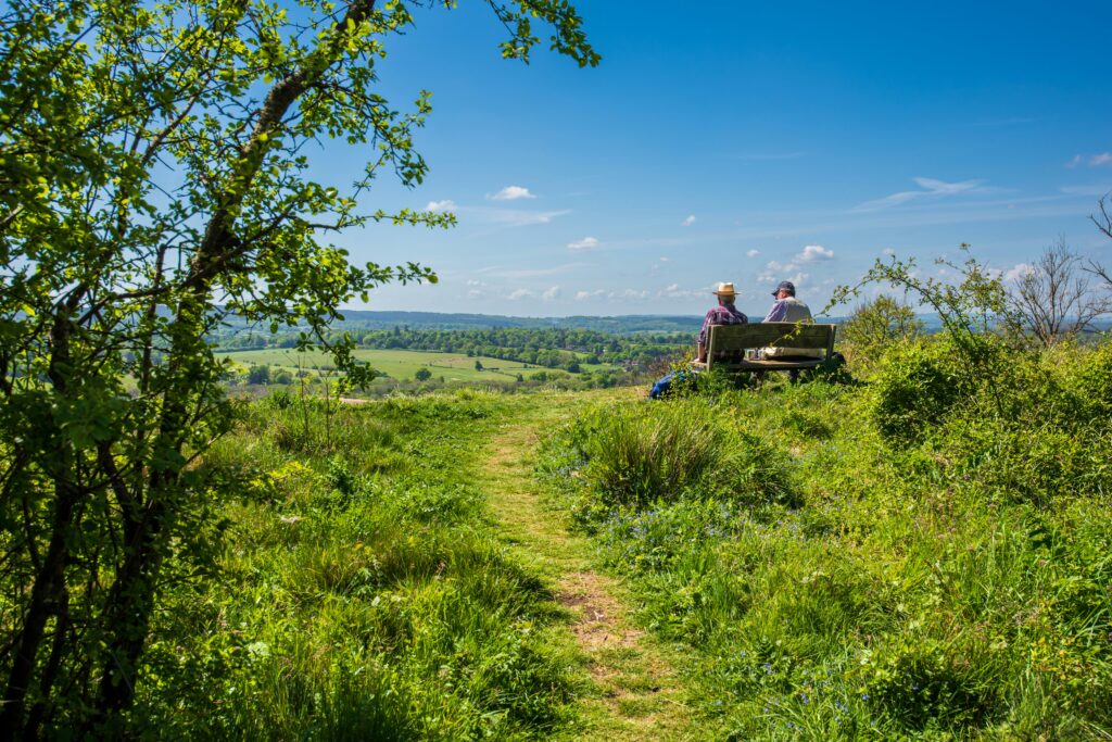 surrey hills